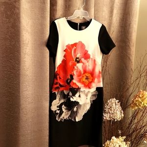 Vince Camuto size 8 short sleeve dress